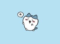 ハチワレ
