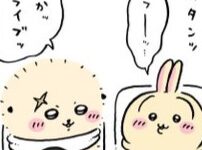 うさぎとラッコ